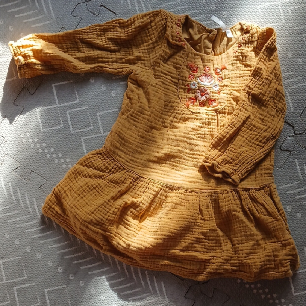 Orchestra Embroidered Mustard Dress